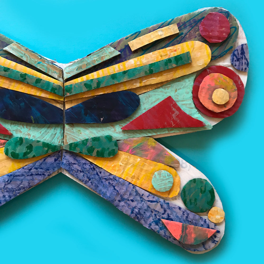 Eric carle butterfly wings fancy dress costume