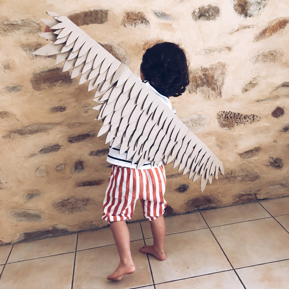 DIY fancy dress costumes, recycled cardboard eagle wings