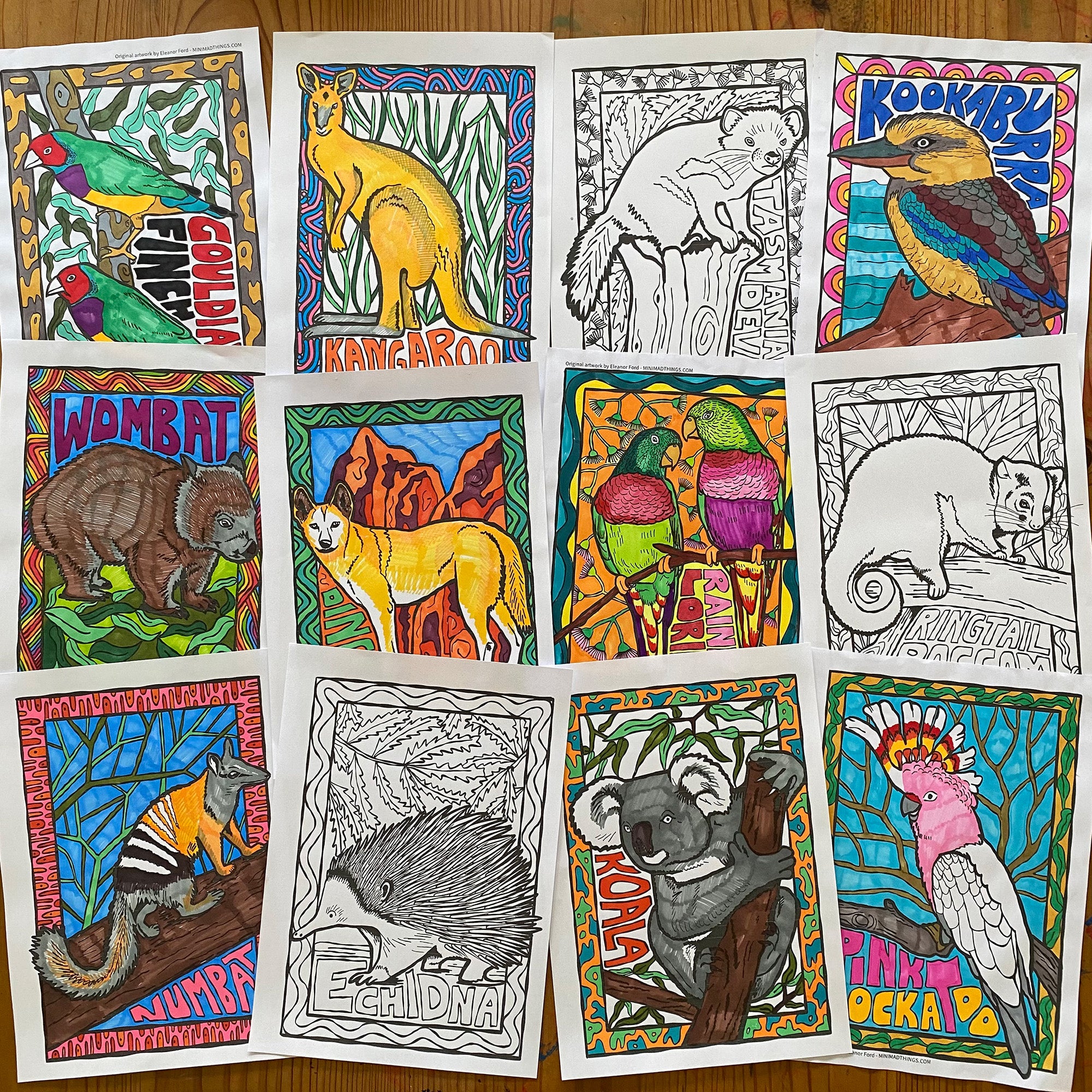 Animals bundle - Australian animals & birds