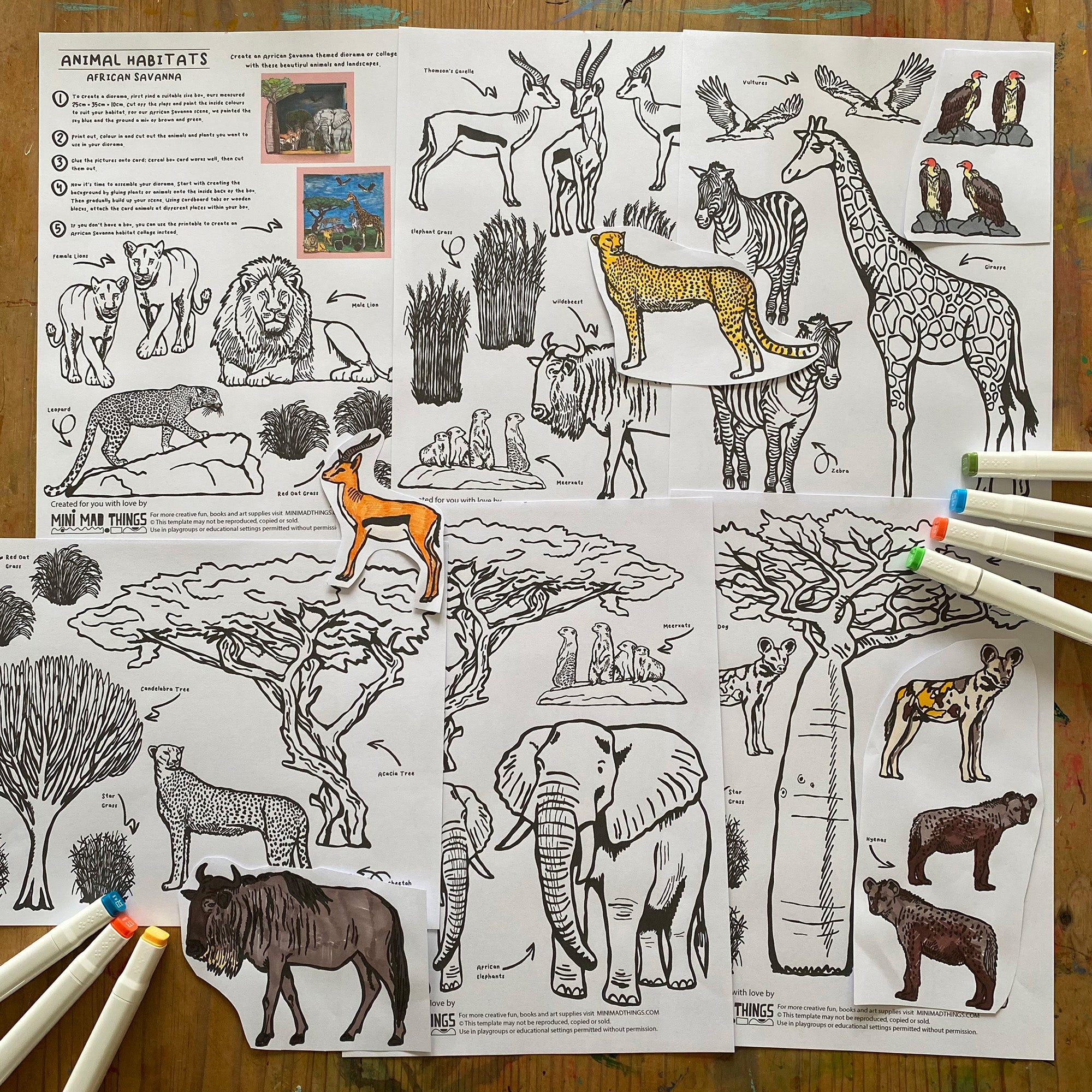 Animal Habitats - African Savanna printable activity sheets