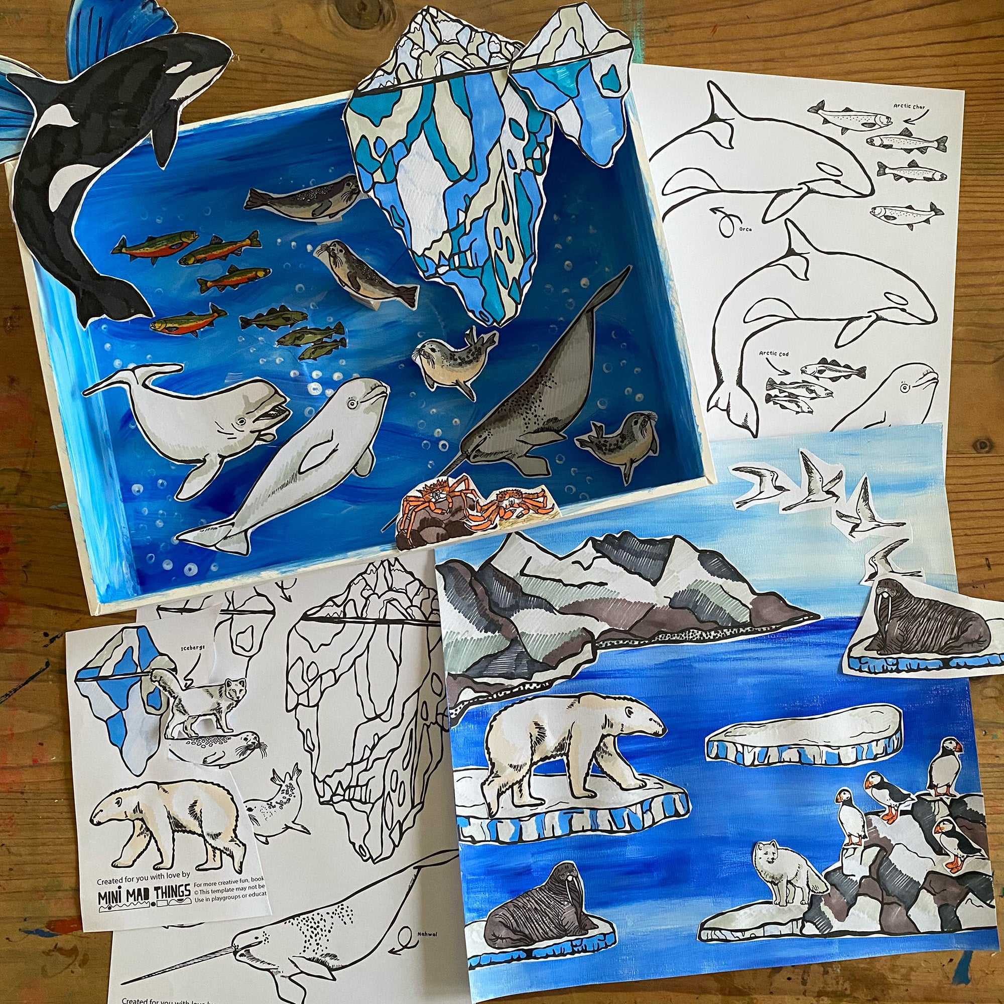 Animal Habitats - Arctic printable activity sheets