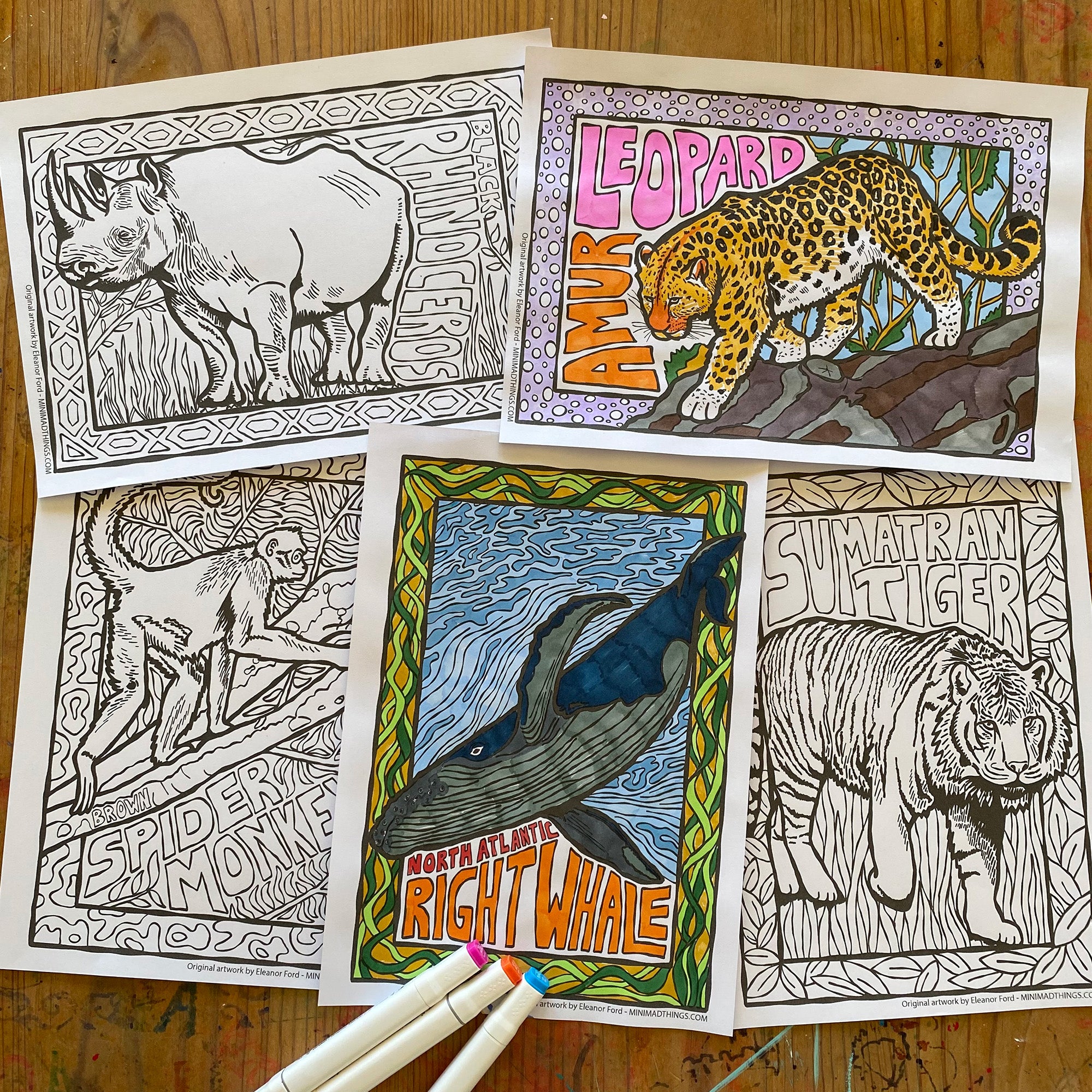 Endangered Animals - Colouring in sheets