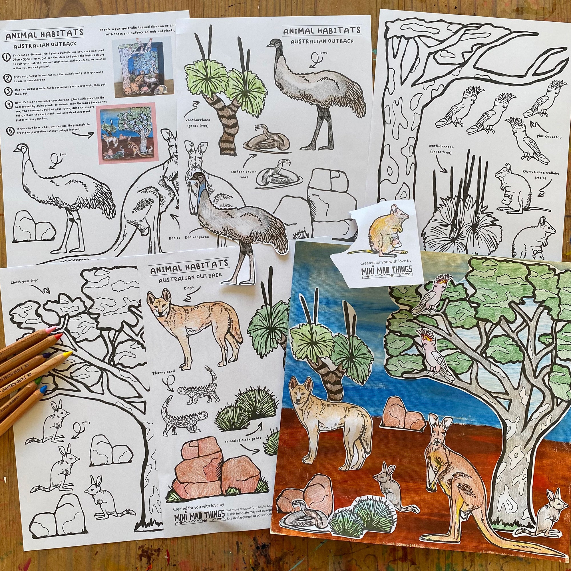 Animal Habitats - Australian Outback printable activity sheets