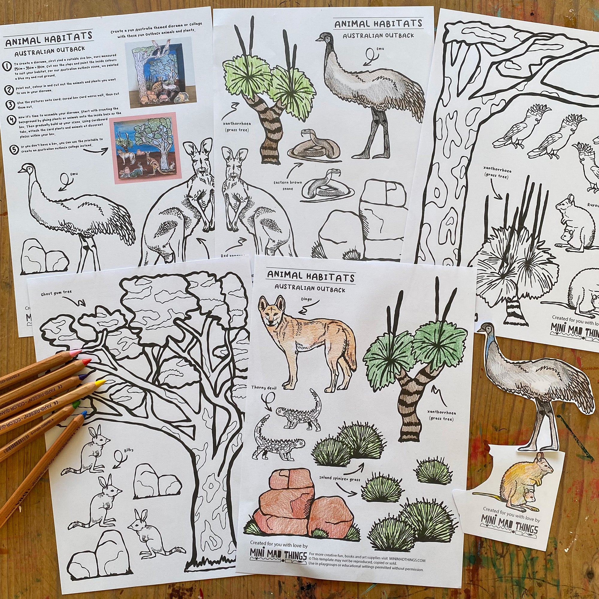 Animal Habitats - Australian Outback printable activity sheets