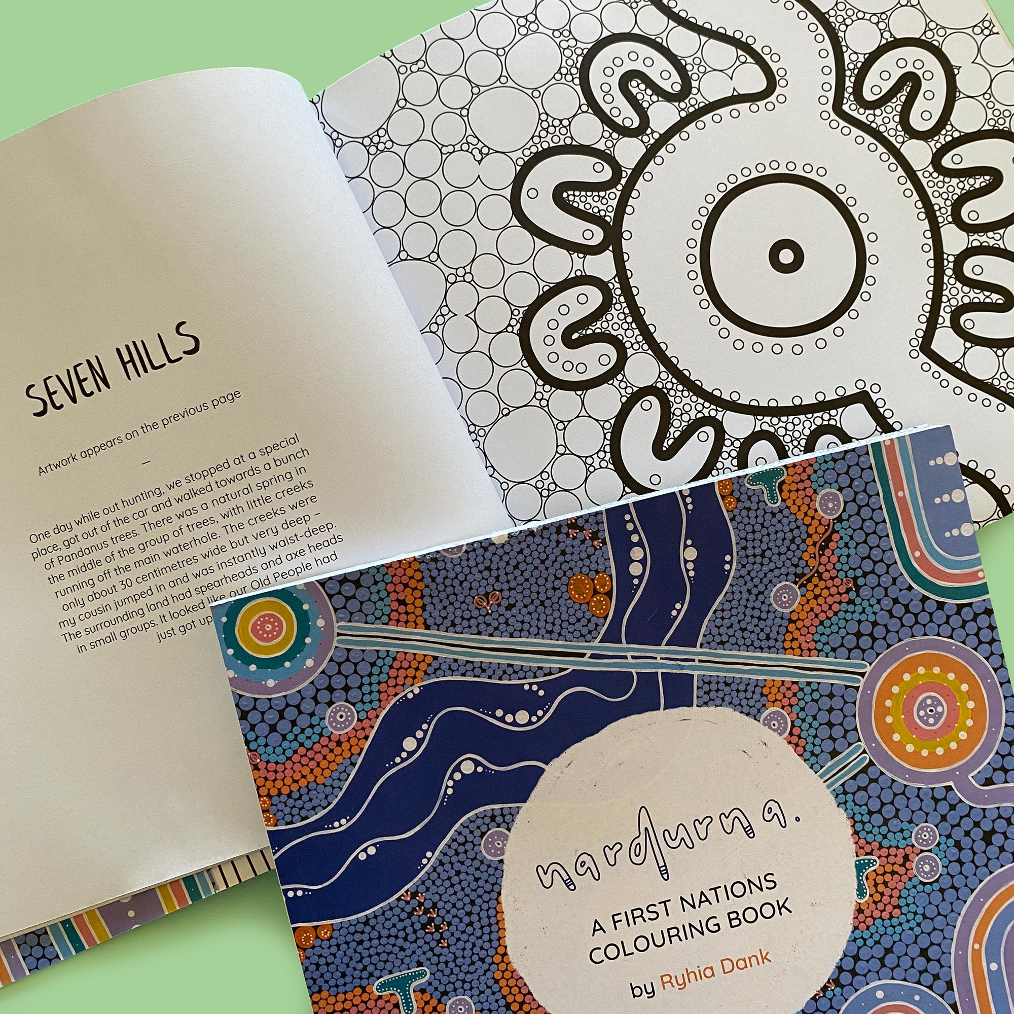 Nardurna - A First Nations Colouring Book - 40% OFF