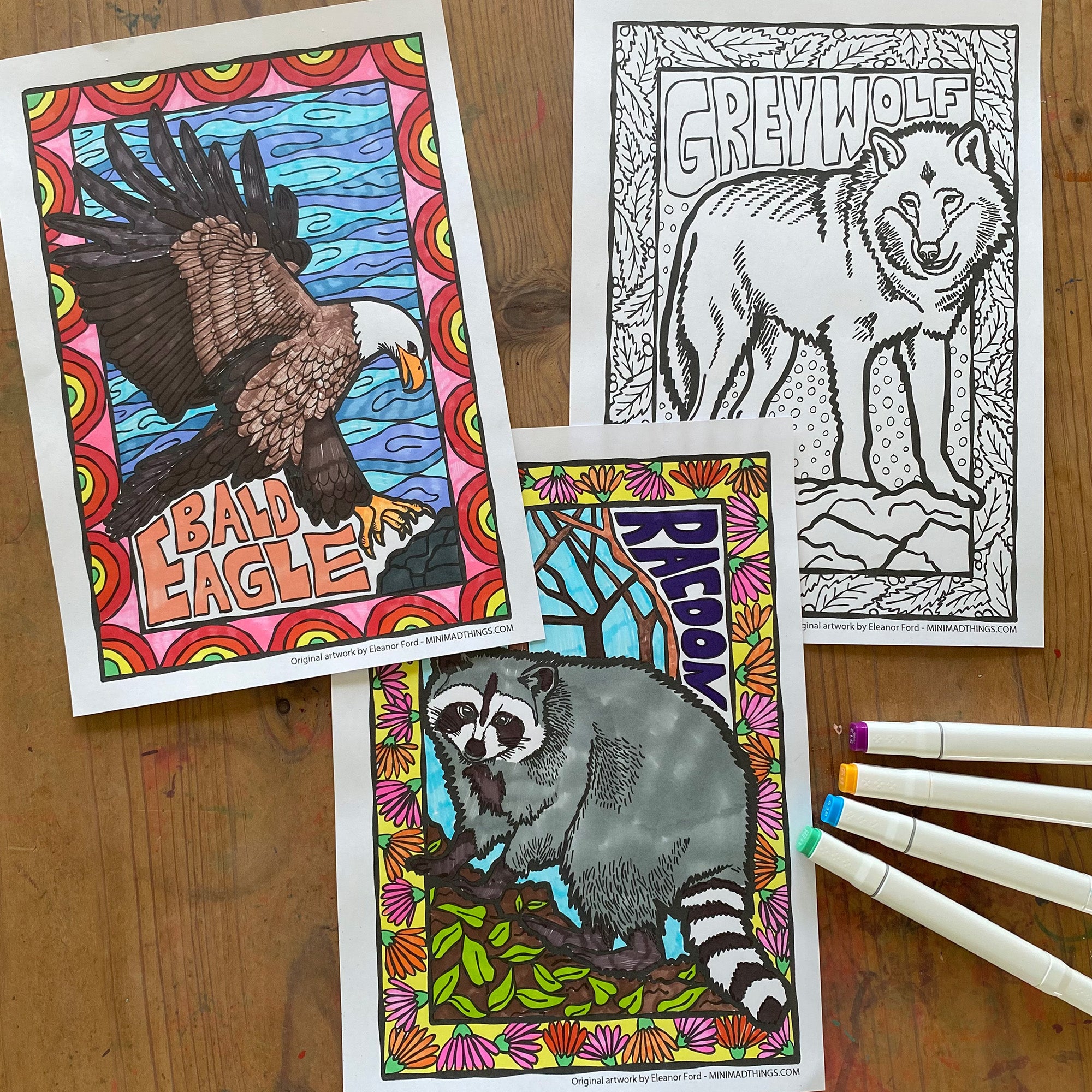 North American animals- Colouring in sheets