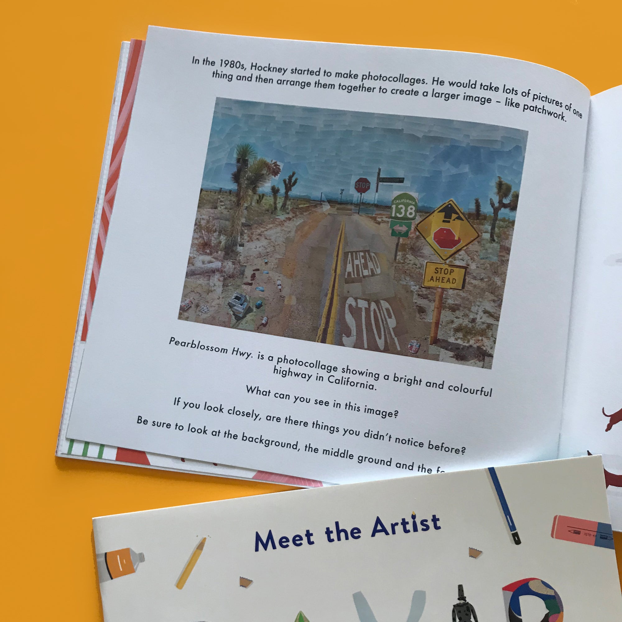 Meet the Artist: David Hockney activity book