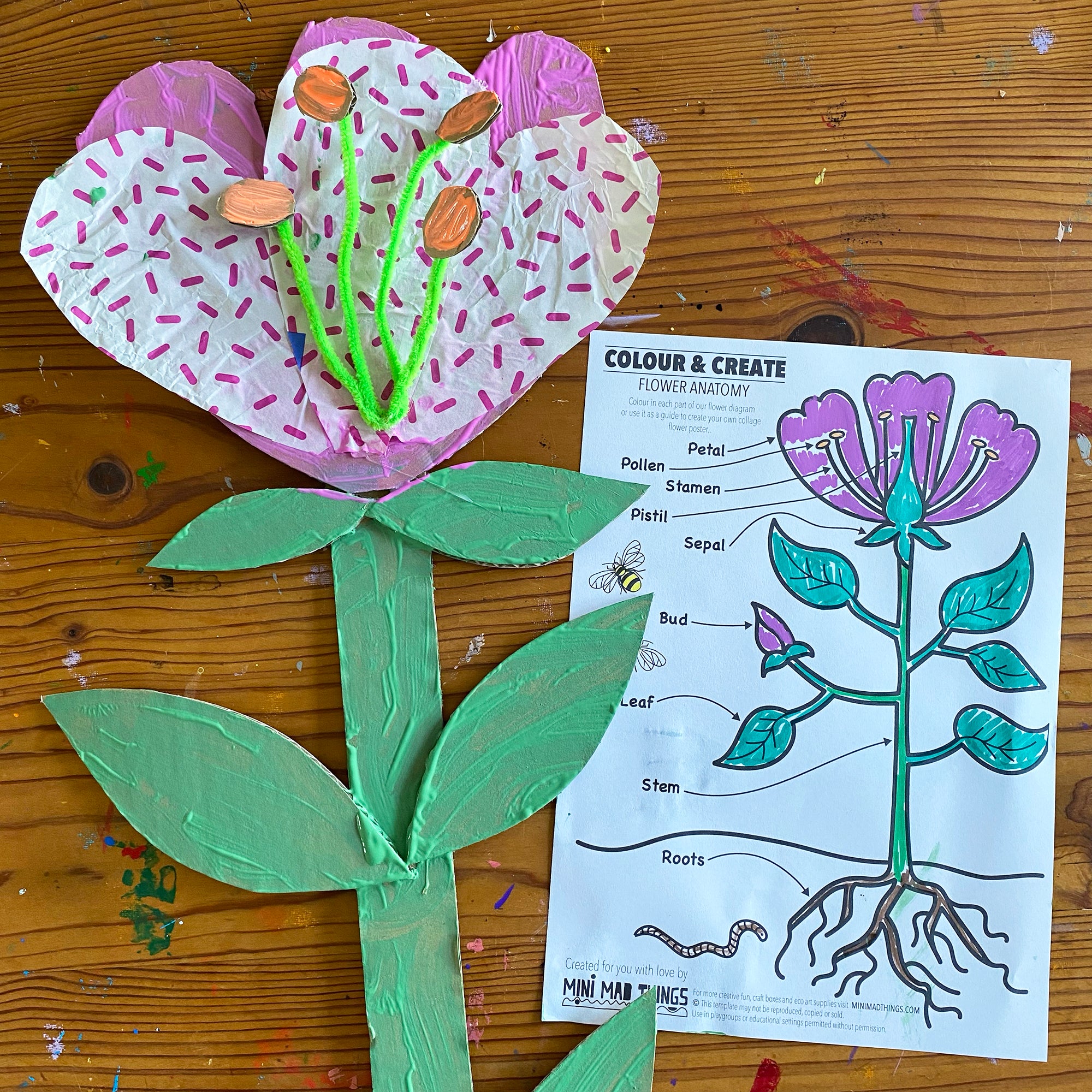 Our Environment - Printable activity sheets