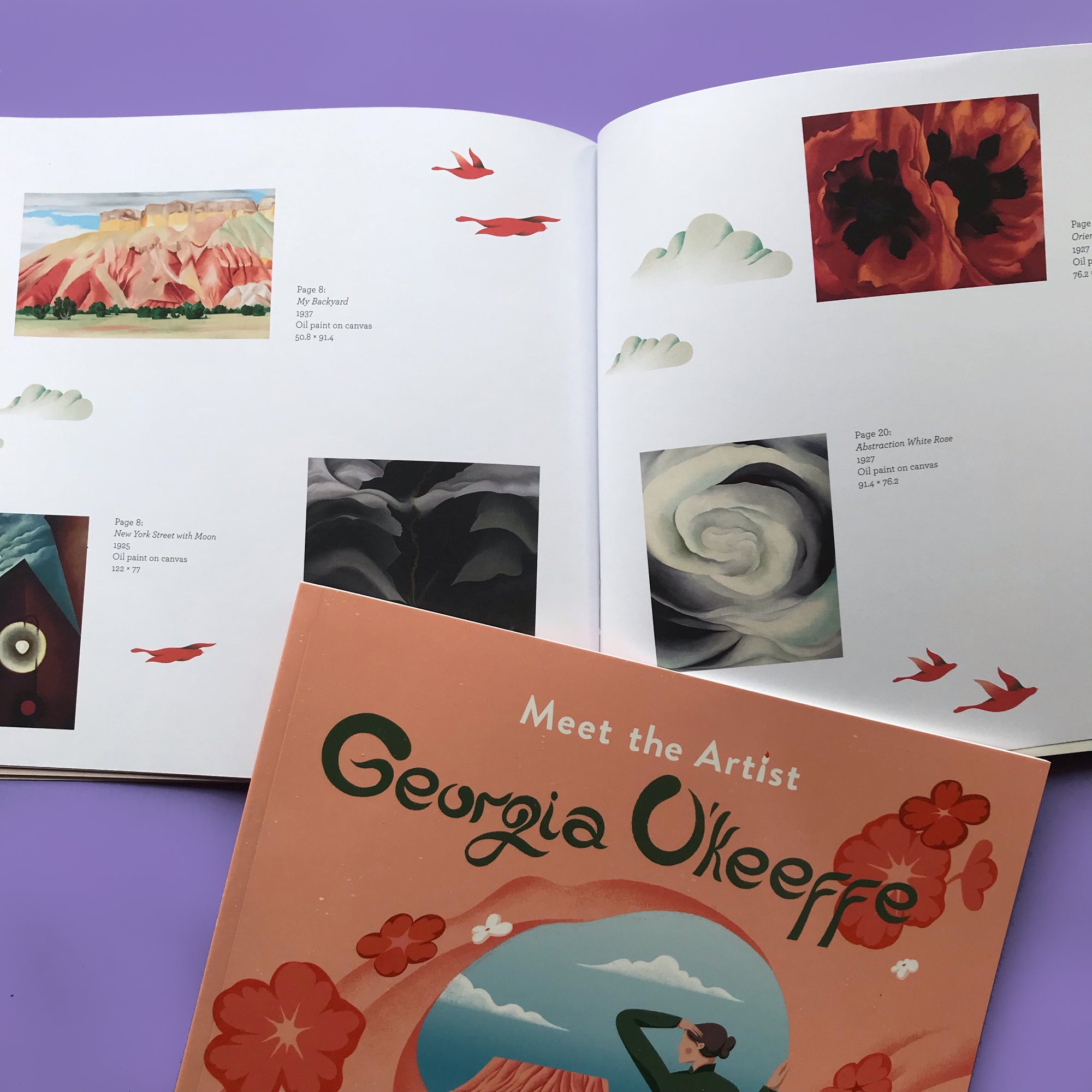 Meet the Artist: Georgia O'Keefe activity book