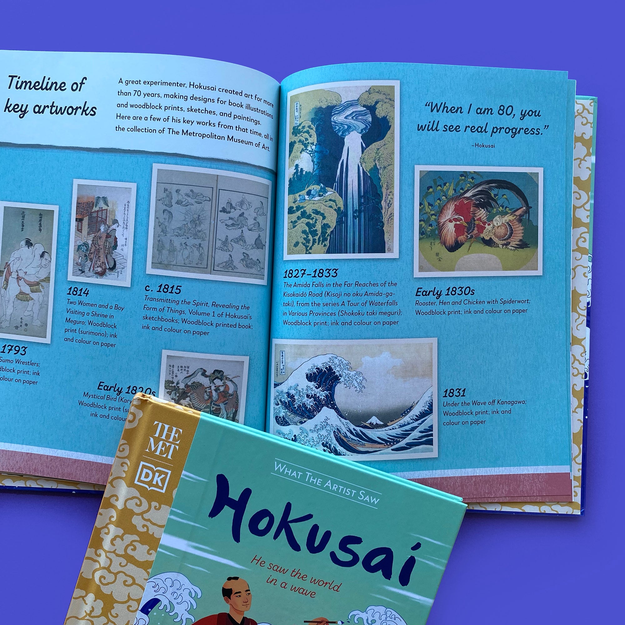 The MET - Hokusai