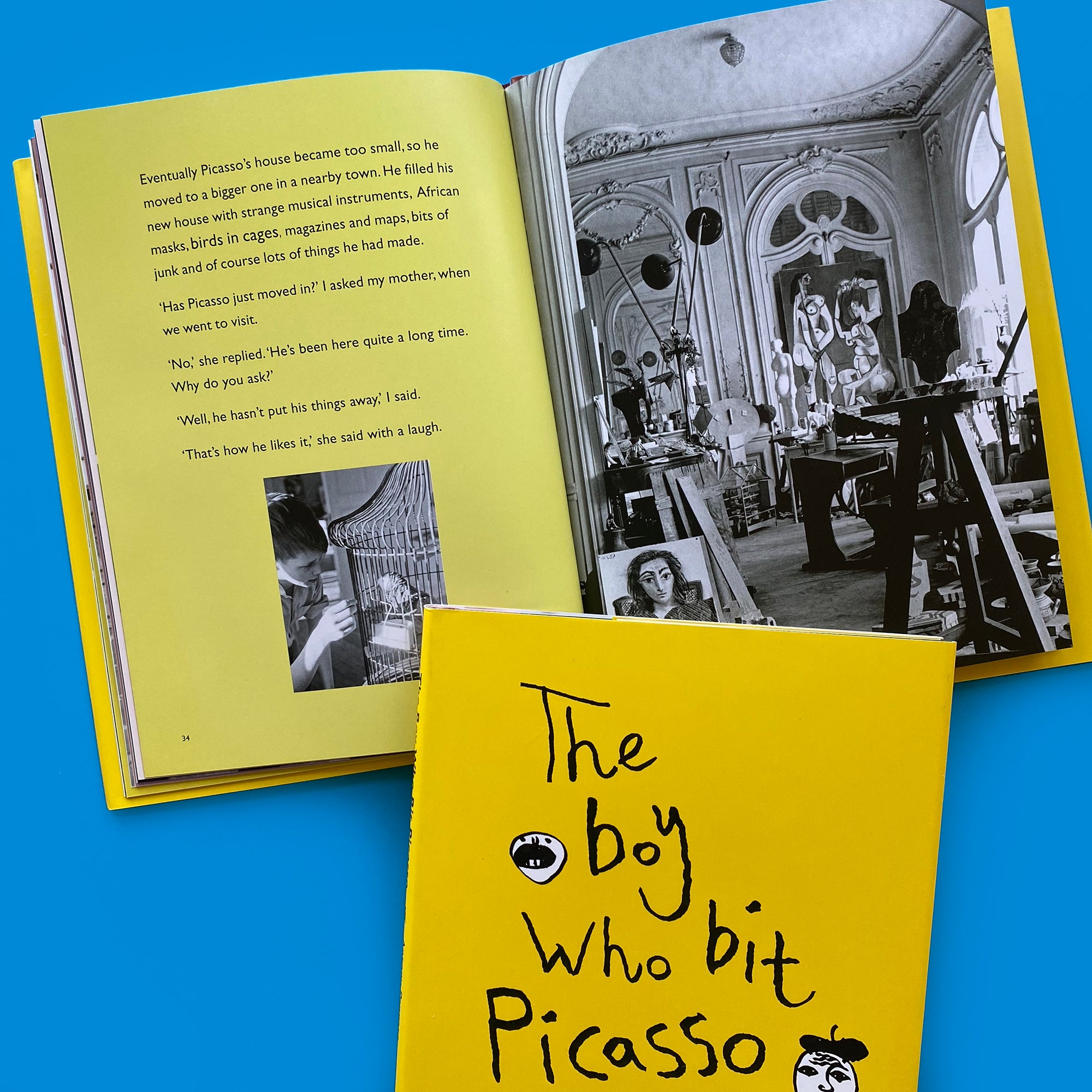 The Boy Who Bit Picasso - 30% OFF