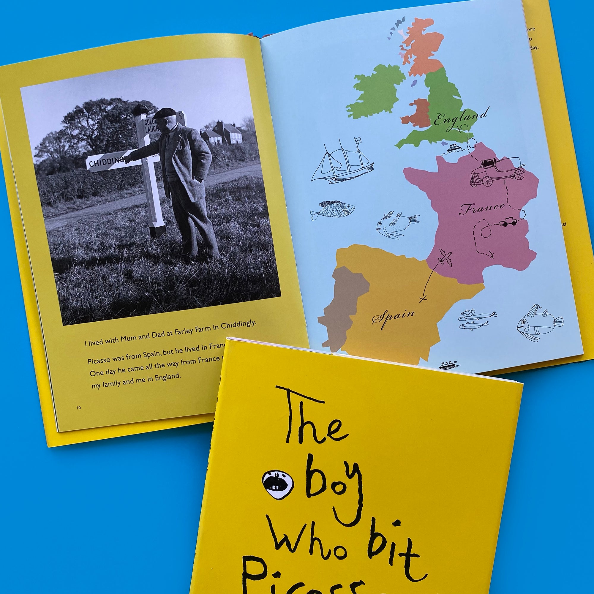 The Boy Who Bit Picasso - 30% OFF