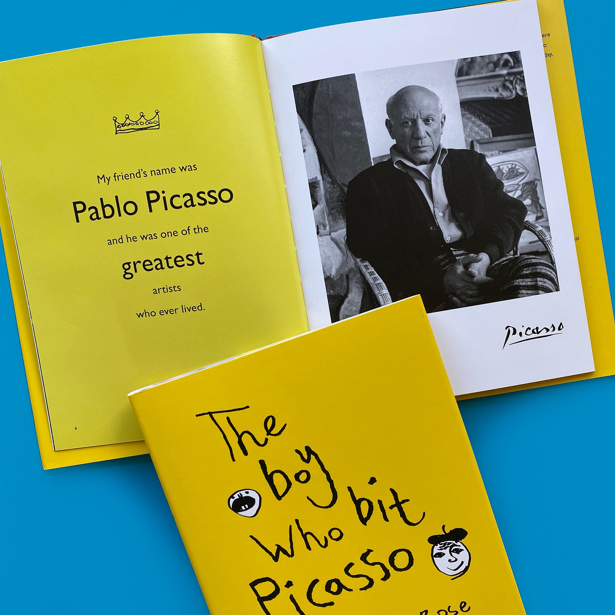 The Boy Who Bit Picasso - 30% OFF