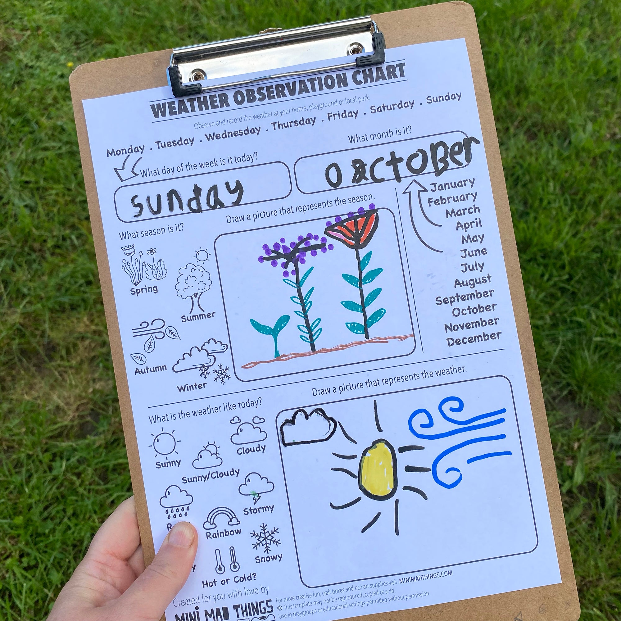 Our Environment - Printable activity sheets