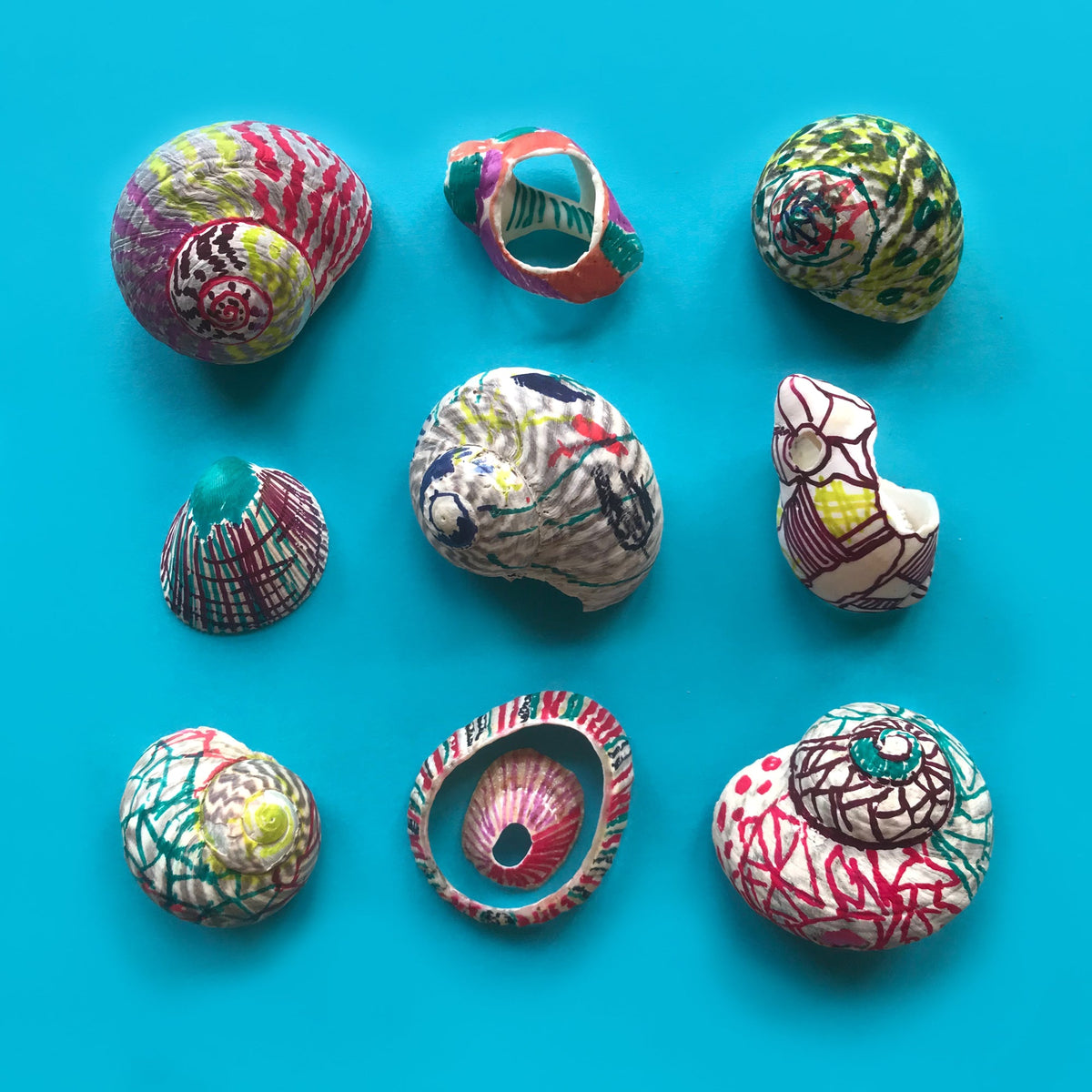 shells decorated with Sharpie pens