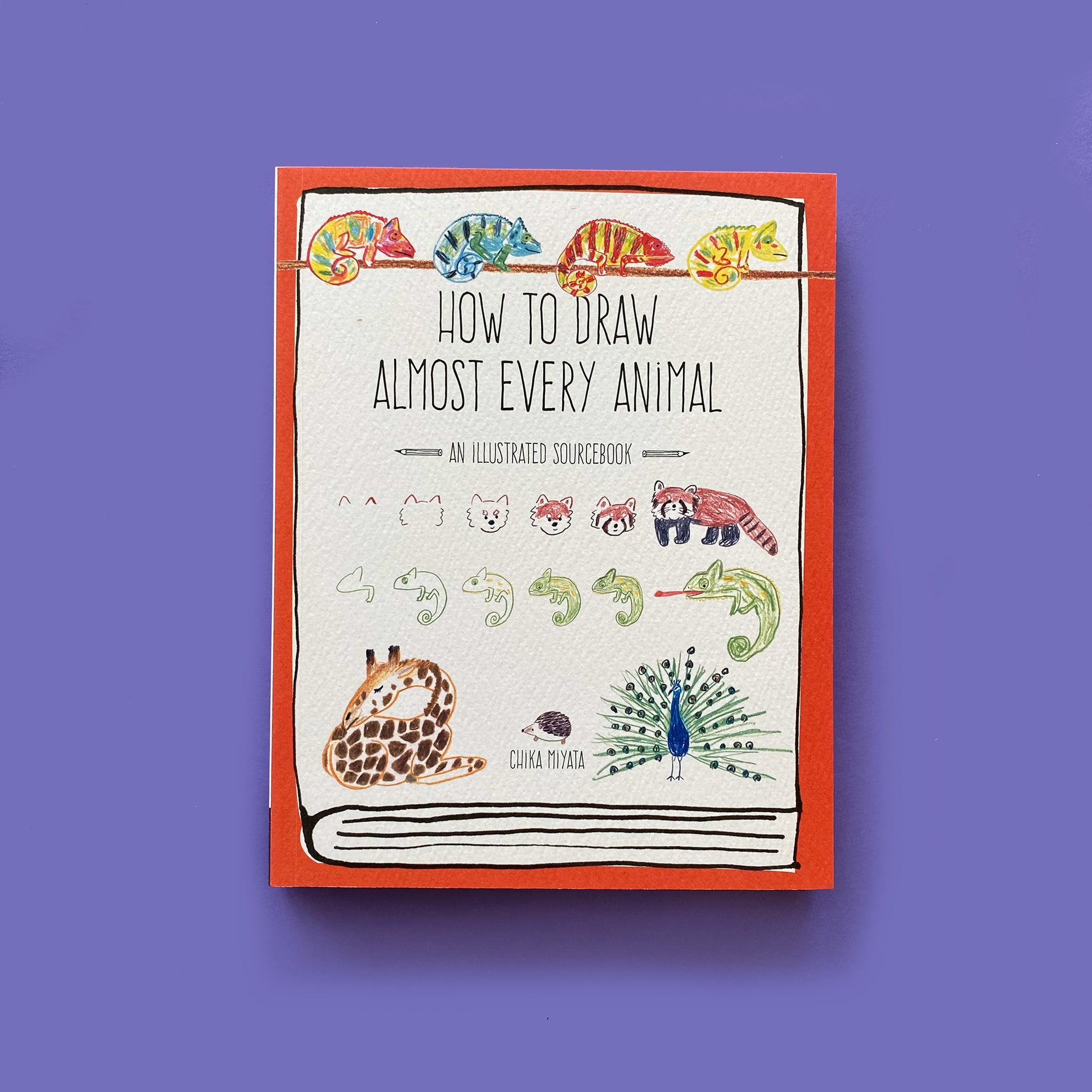 ART & CRAFT BOOKS FOR EVERYONE - Mini Mad Things