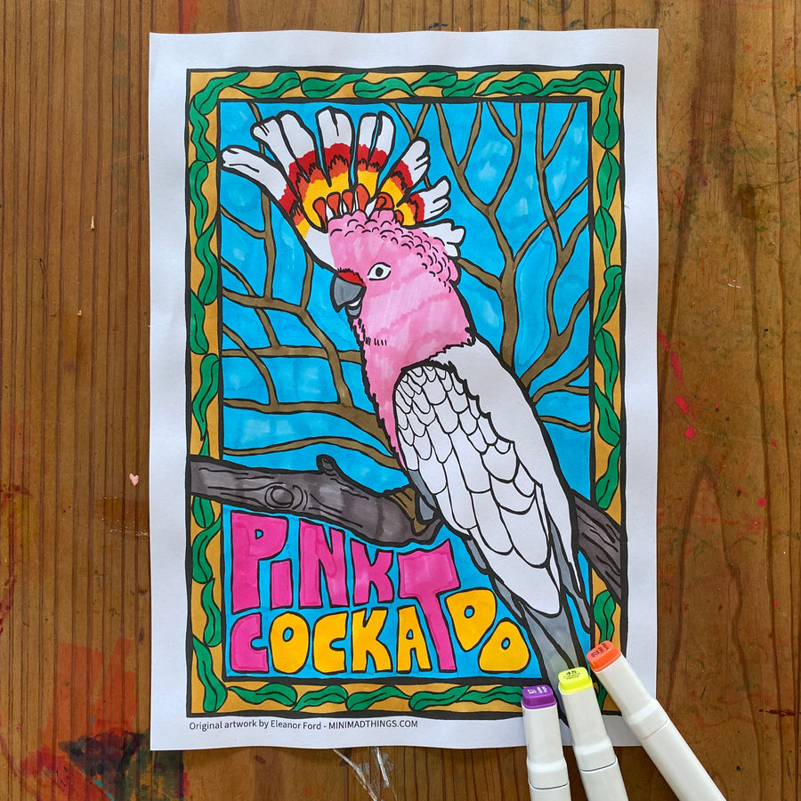 Australian native birds - Colouring in sheets - Mini Mad Things