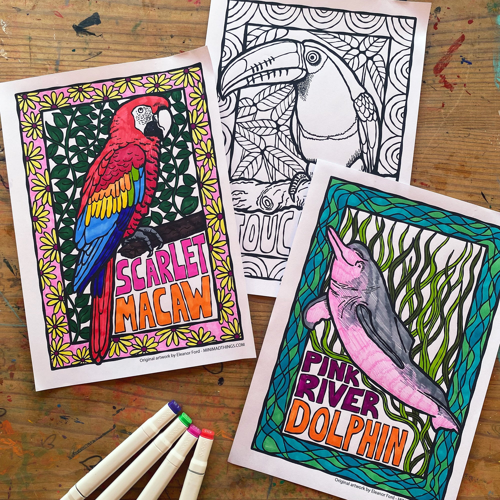Amazon Jungle Animals- Colouring in sheets