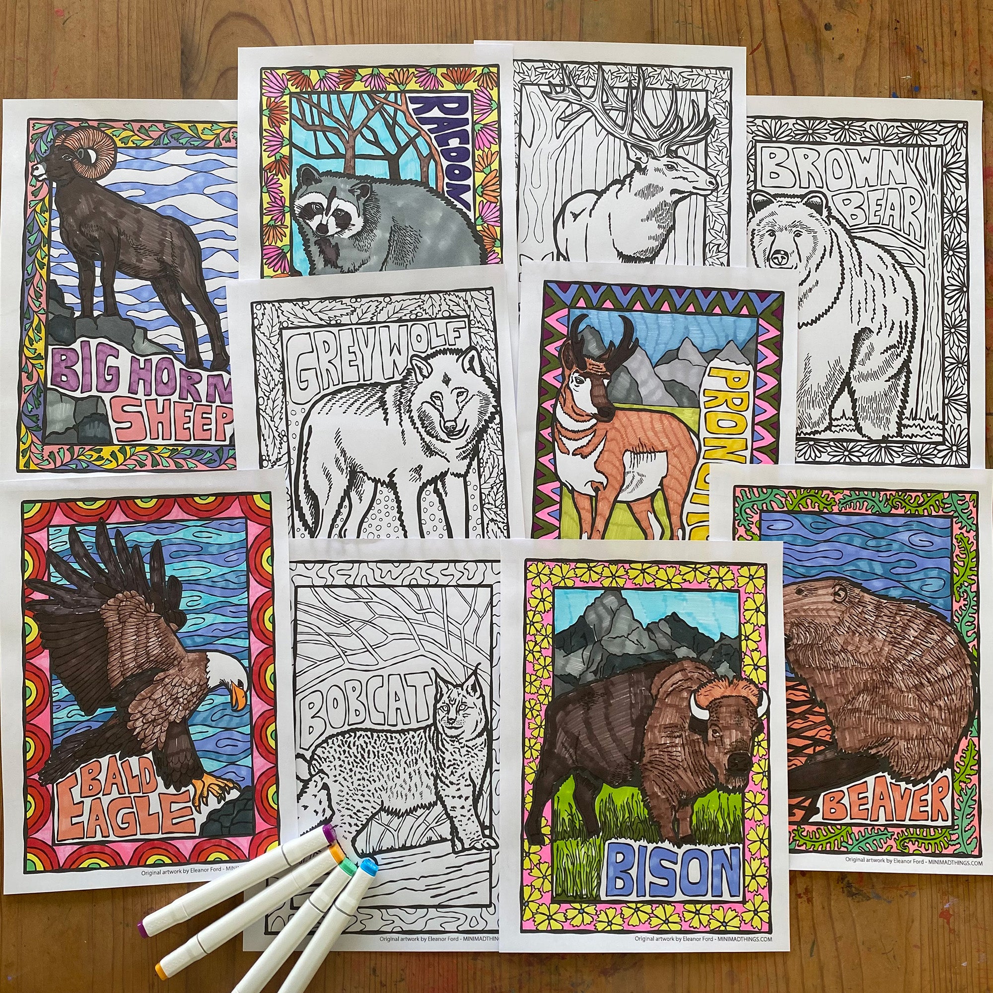 North American animals- Colouring in sheets