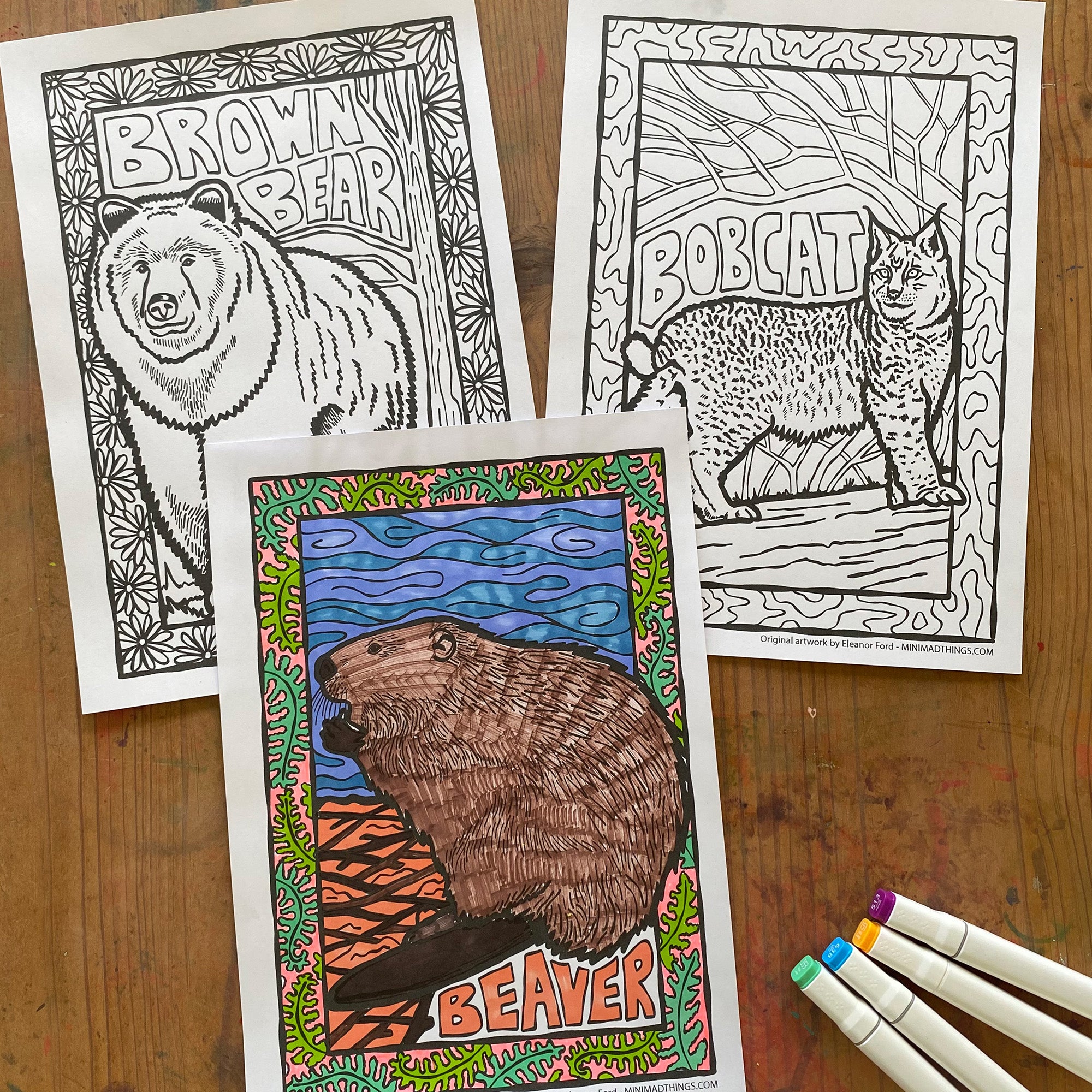 North American animals- Colouring in sheets