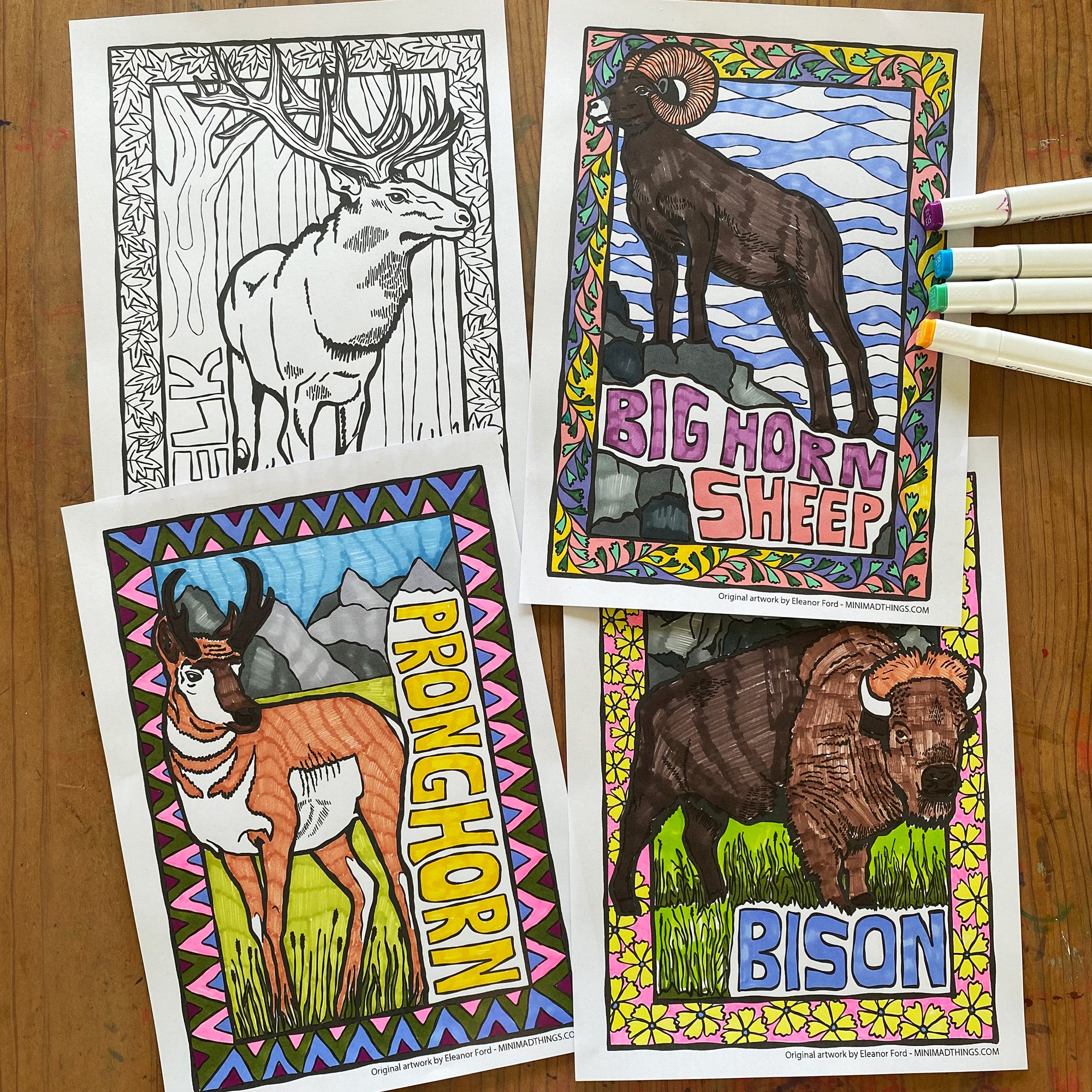 North American animals- Colouring in sheets