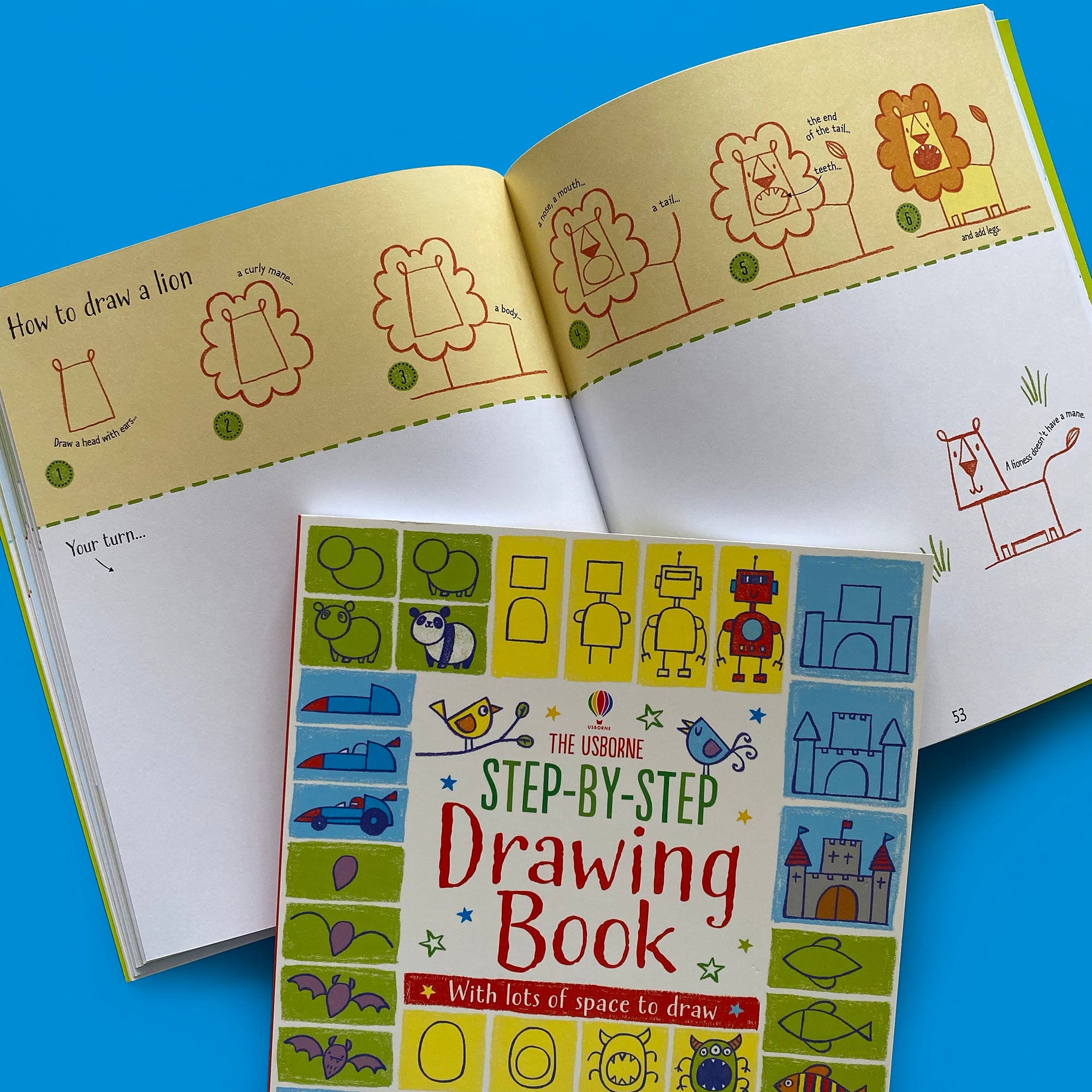 Step-by-Step Drawing Book - Montessori Services