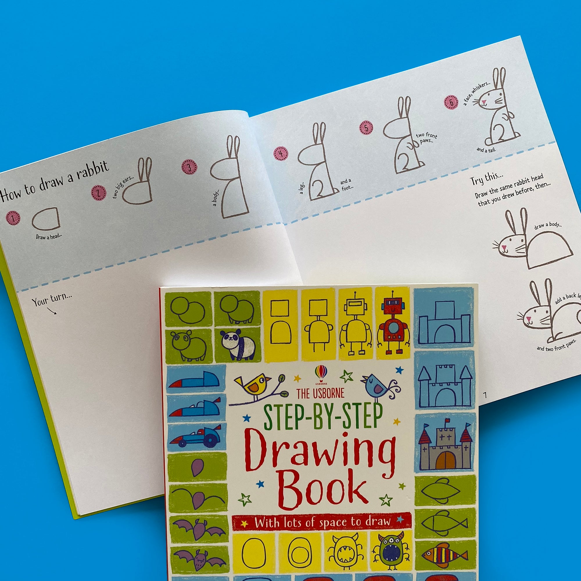 Step-by-Step Drawing Book