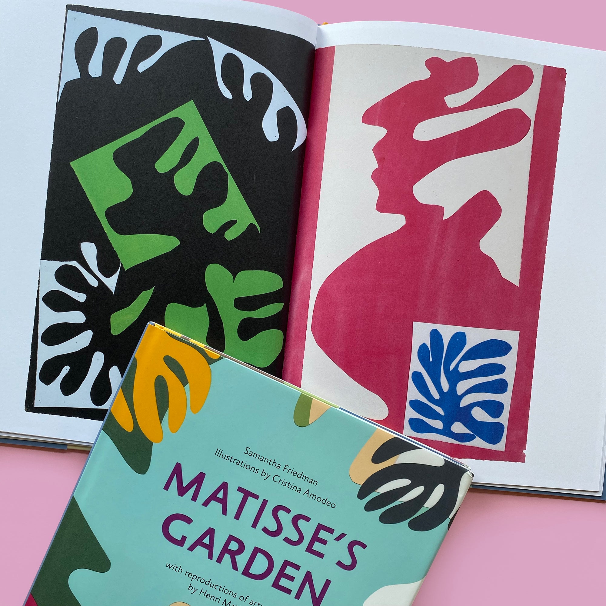 Matisse's Garden