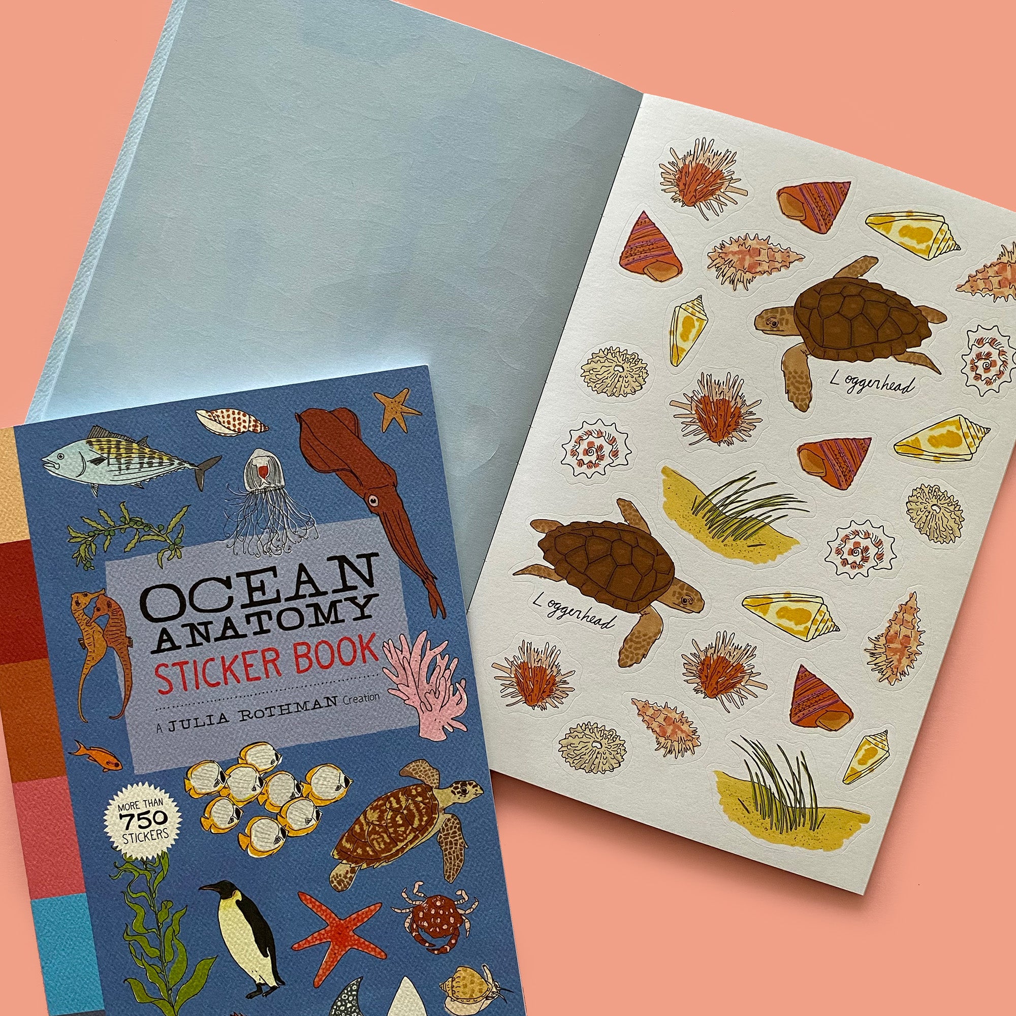 Ocean Anatomy Sticker Book - 5% OFF