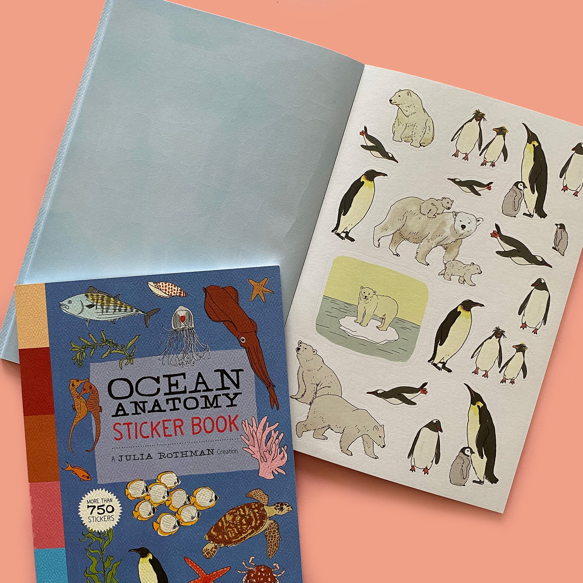 Ocean Anatomy Sticker Book - 5% OFF